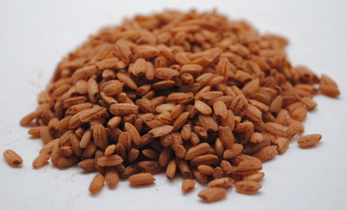 Aliments sains pour la gestion de la glycémie